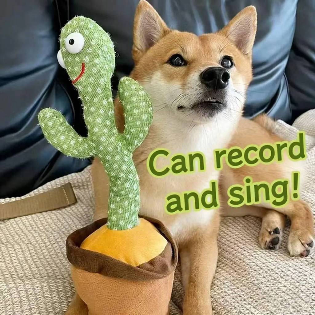 BB Cactus