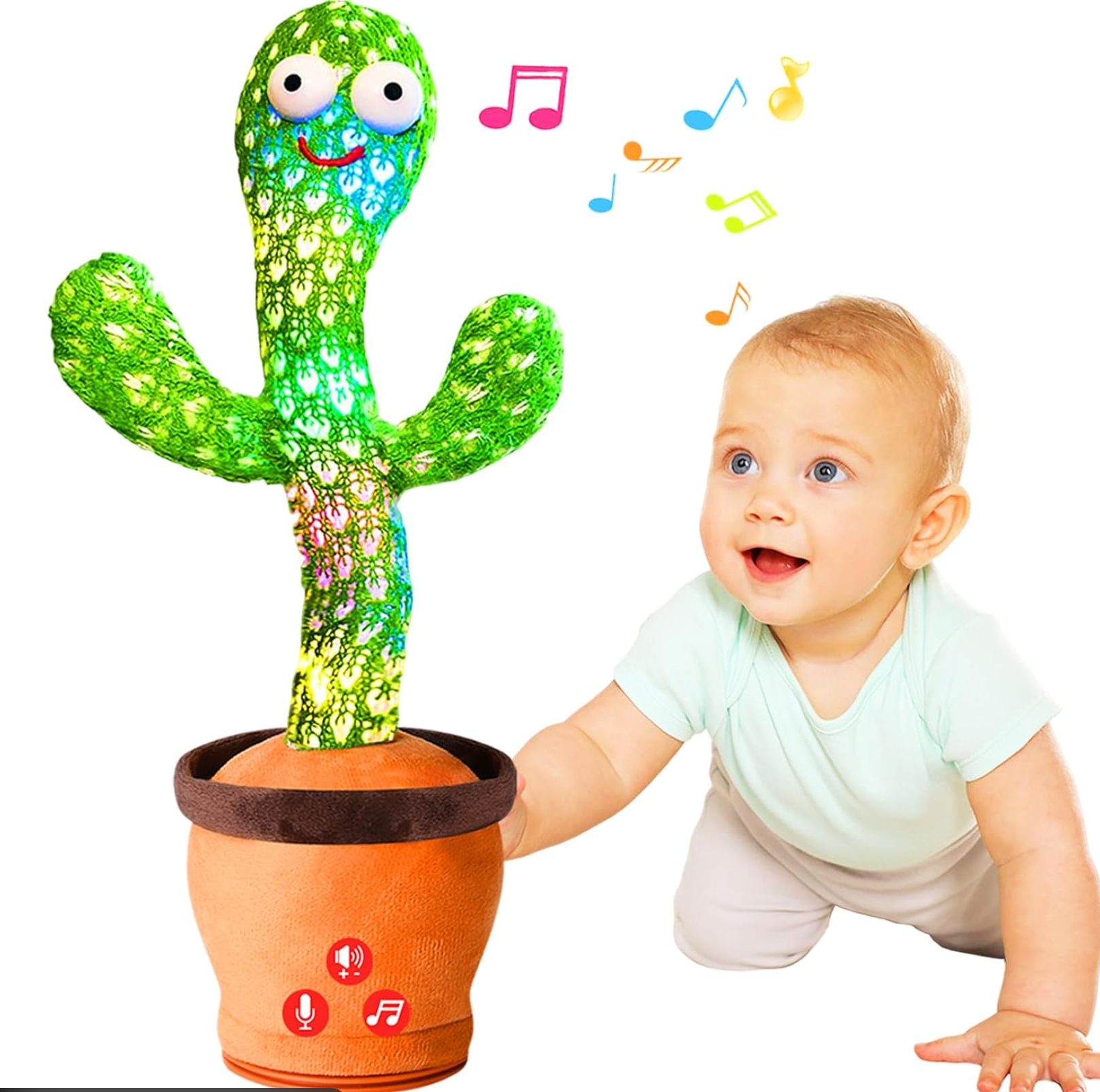 BB Cactus