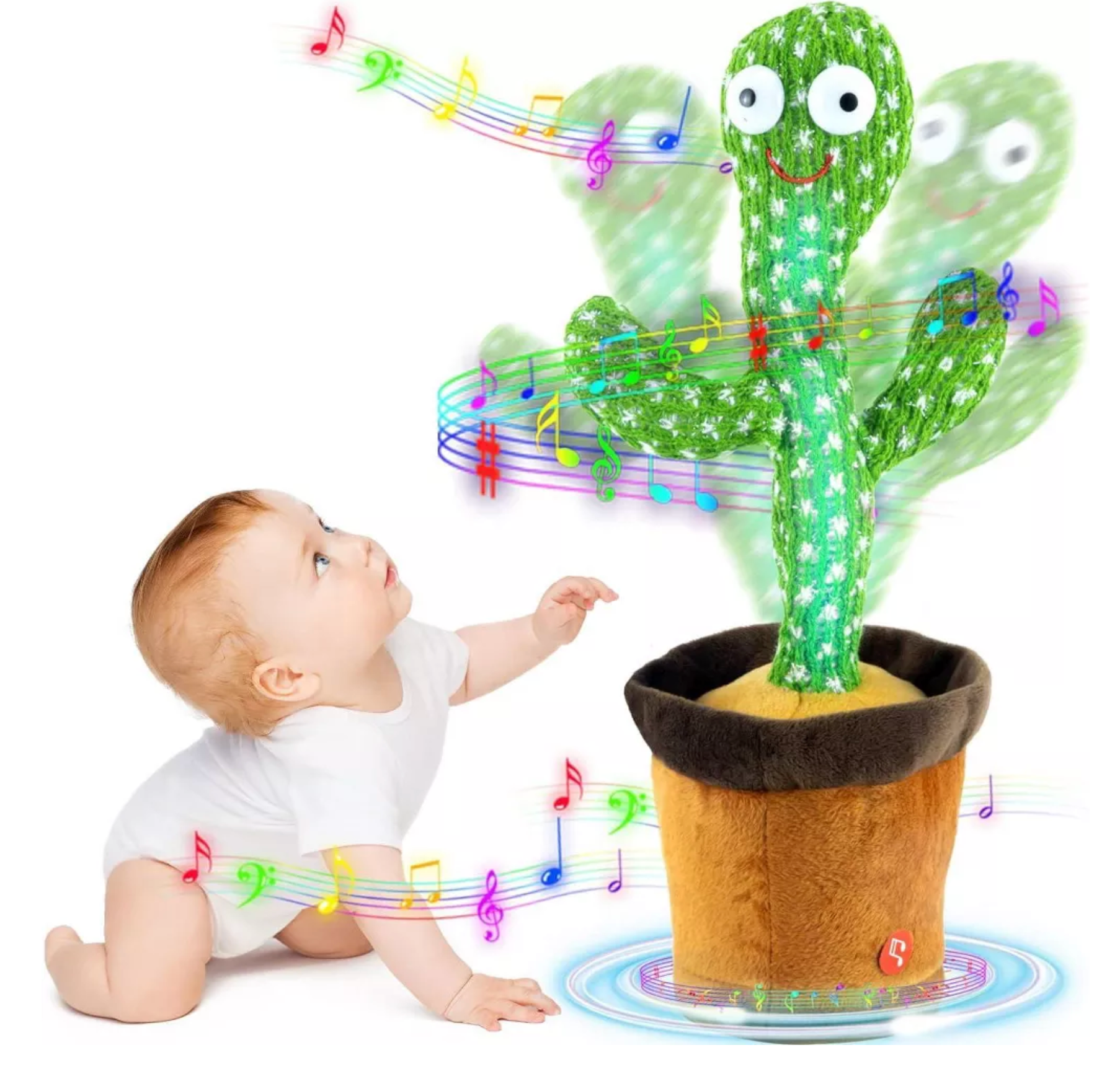 BB Cactus