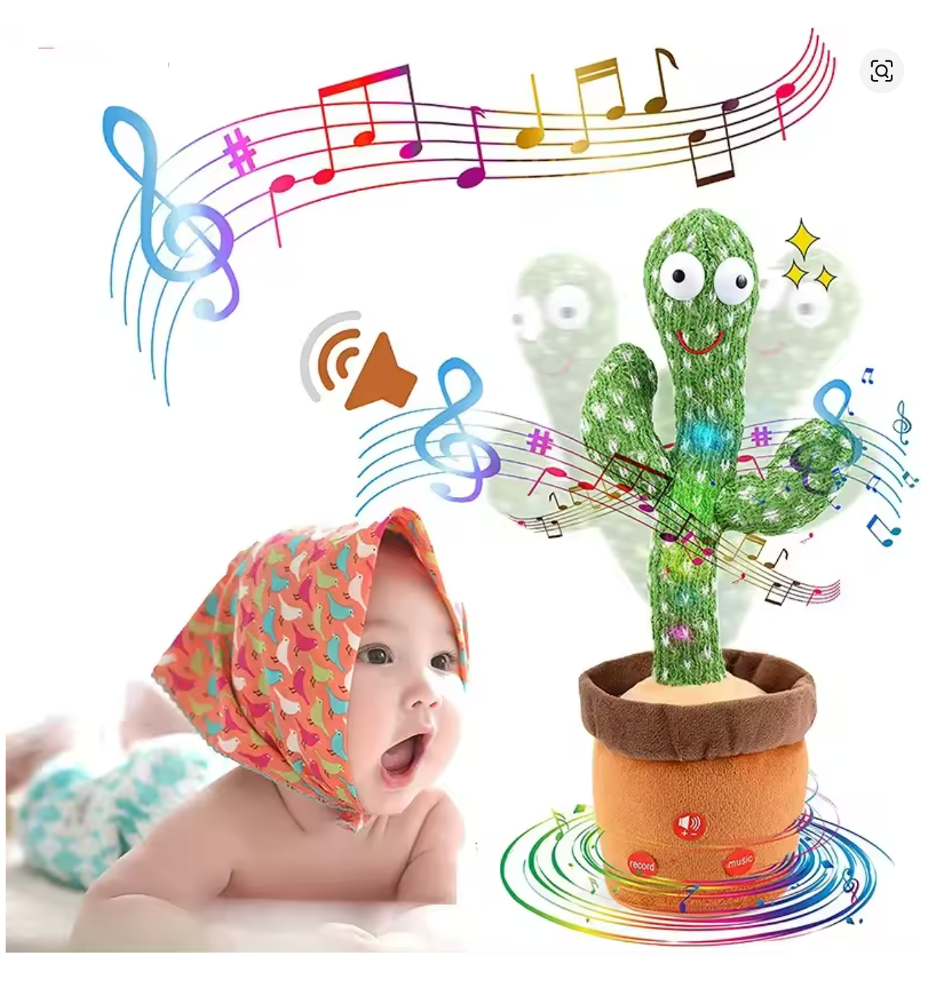 BB Cactus